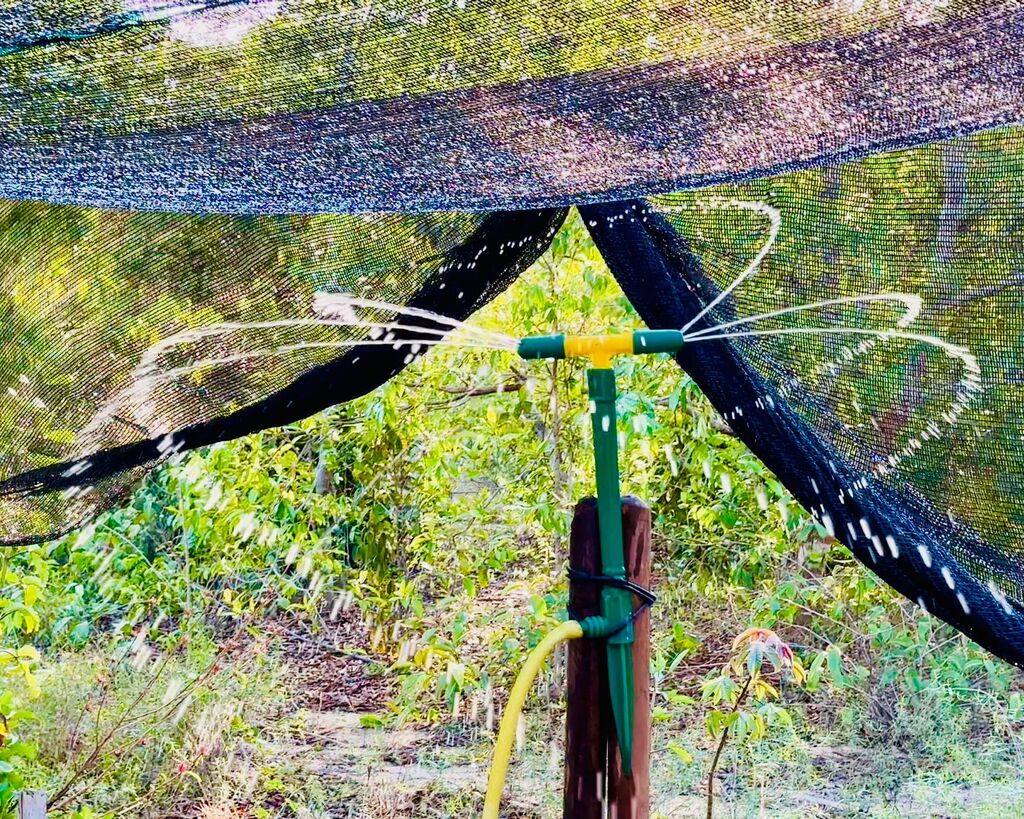 Universitários levam Irrigação Inteligente para Escola Rural em Santa Maria do Eixo-Forte